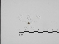 登錄號:F0009827藏品圖，第3張