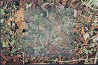 登錄號:F0009827藏品圖，第4張