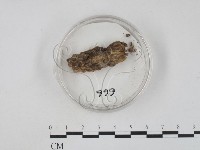 登錄號:F0009830藏品圖，第1張