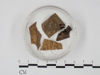 登錄號:F0009831藏品圖，第1張
