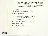 登錄號:F0009832藏品圖，第2張
