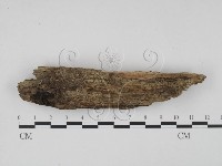 登錄號:F0009834藏品圖，第1張