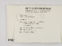 登錄號:F0009835藏品圖，第2張