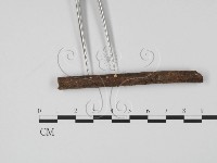 登錄號:F0009837藏品圖，第3張