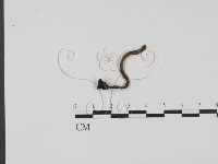 登錄號:F0009839藏品圖，第3張