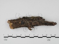 登錄號:F0009840藏品圖，第1張