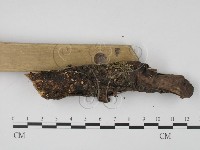 登錄號:F0009840藏品圖，第3張