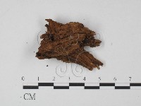 登錄號:F0009843藏品圖，第1張