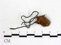 登錄號:F0009844藏品圖，第3張