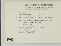 登錄號:F0009846藏品圖，第2張