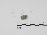 登錄號:F0009846藏品圖，第1張