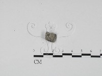 登錄號:F0009846藏品圖，第3張