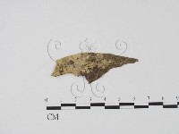 登錄號:F0009848藏品圖，第1張