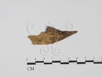 登錄號:F0009848藏品圖，第3張