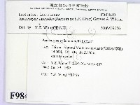 登錄號:F0009849藏品圖，第2張