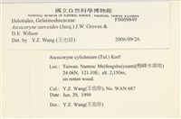 登錄號:F0009849藏品圖，第3張
