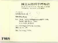 登錄號:F0009850藏品圖，第2張