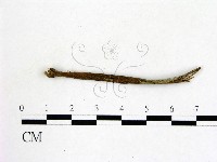 登錄號:F0009850藏品圖，第1張