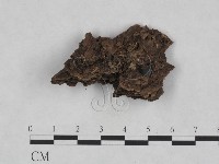 登錄號:F0009852藏品圖，第3張