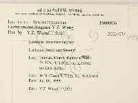 登錄號:F0009856藏品圖，第2張