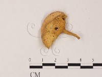 登錄號:F0009857藏品圖，第3張