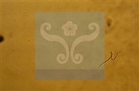 登錄號:F0009857藏品圖，第9張