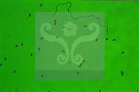 登錄號:F0009857藏品圖，第11張