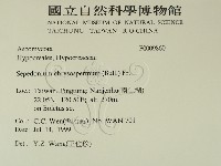 登錄號:F0009860藏品圖，第2張