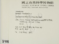 登錄號:F0009862藏品圖，第2張