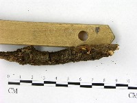 登錄號:F0009863藏品圖，第3張