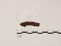 登錄號:F0009864藏品圖，第1張