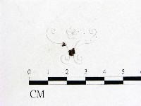 登錄號:F0009865藏品圖，第1張