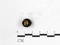 登錄號:F0009868藏品圖，第3張