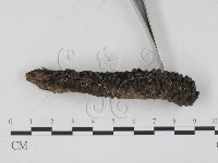 登錄號:F0009870藏品圖，第4張