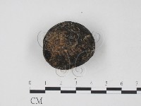 登錄號:F0009871藏品圖，第1張