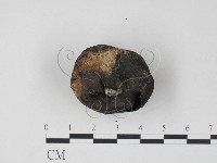 登錄號:F0009871藏品圖，第3張