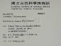 登錄號:F0009873藏品圖，第2張