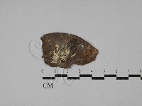 登錄號:F0009873藏品圖，第3張