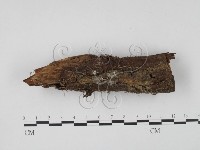 登錄號:F0009874藏品圖，第1張