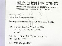 登錄號:F0009875藏品圖，第2張