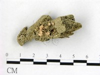 登錄號:F0009875藏品圖，第1張