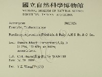 登錄號:F0009876藏品圖，第2張