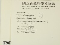 登錄號:F0009878藏品圖，第2張