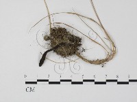 登錄號:F0009878藏品圖，第3張