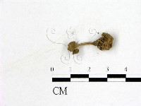 登錄號:F0009879藏品圖，第3張
