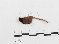 登錄號:F0009880藏品圖，第3張