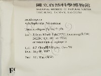 登錄號:F0009882藏品圖，第2張