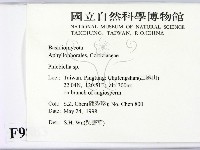 登錄號:F0009883藏品圖，第2張