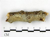 登錄號:F0009883藏品圖，第3張