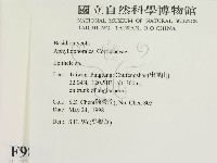 登錄號:F0009884藏品圖，第2張